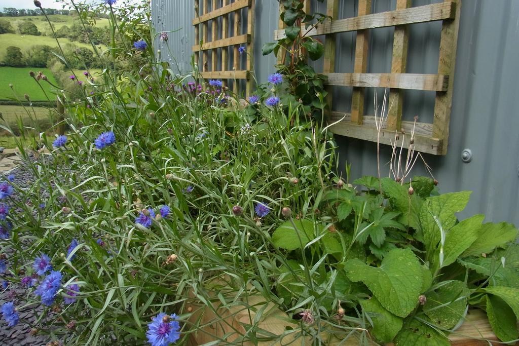 Rhiwiau Self Catering Vila Carmarthen Exterior foto